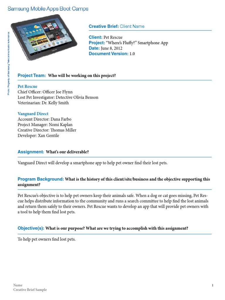 Creative Brief for Pet Rescue App | PDF | Games & Activities | Computers