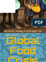 20101122 Reflections on World Food Crisis IFPRI