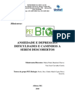 Ansiedade e depressão: minicurso sobre dificuldades e caminhos