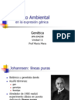 11.EfectoAmbiental.pdf