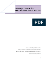 Afasia de condução substratos anatomo funcionais.pdf