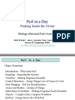 Perl in a Day