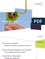 1 What - Are - Enzymes PDF