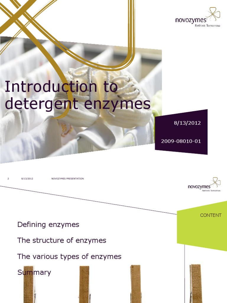 2 Introduction To Detergent Enzymes PDF PDF Enzyme Inhibitor