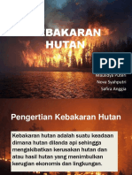 Kebakaran Hutan