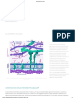 Tema 5. El Entorno Celular PDF