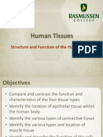 Tissue Types