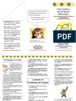 Triptico Problemas de Lenguaje PDF