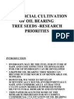 Commercial Cultivation of Oil Bearing Tree Seeds - Research Priorities