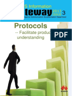 IMS Information Gateway - Issue 03 in 2013 (Protocols User Manual)