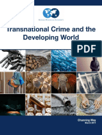 Transnational_Crime-final.pdf