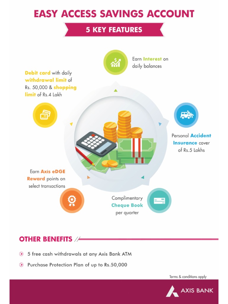 Easy Access Savings Account PDF PDF