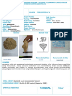 Lembar Deskripsi Makropaleontologi 1