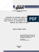 Martha Simoes Ribeiro_D.pdf