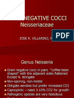Gram Negative Cocci
