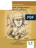 Caderno Pedagógico VI.pdf