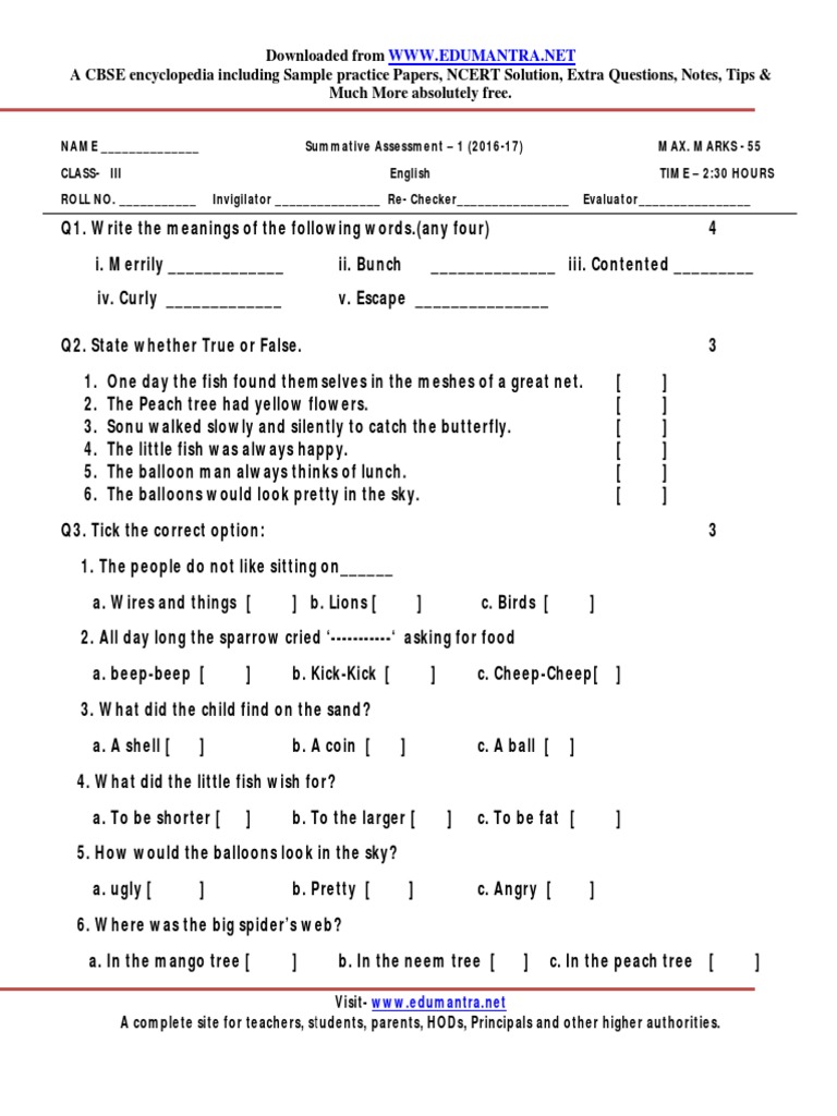 CBSE Class 3 English Assessment Paper | PDF