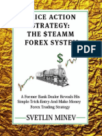 The Steamm Forex System