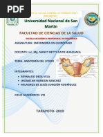 Resectoscopia en Histeroscopia: Usos y Ventajas | PDF | Ablación | Medicina