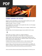 CURSO WANEN DE RUNAS 2