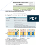 Реферат: Mitosis Essay Research Paper MITOSISMitosis is the