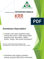 Sosialisasi KRR - SMK N 2