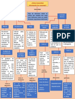 Mapa Conceptual