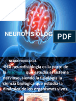 Diapositivas Neurofisilogicas de La Conducta Exposicion