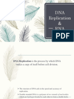 DNA Replication & RNA