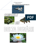 proiect-comorile-din-delta-dunc483rii-ecologie-eu-2003