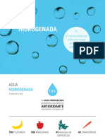 HidrogenoMolecular V4 PDF