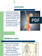 CURSUL 7. Sistemul Locomotor