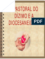 Pastoral Do Dízimo e Diocesaniedade