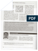 Derechos Fundamentales de las Personas Juridicas.pdf