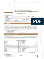 352284463-BANETA-Protocolo-pdf.pdf