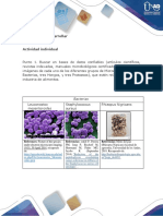 Fase 1-Tarea1