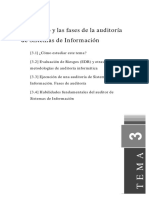 Auditoría SI: Proceso y fases