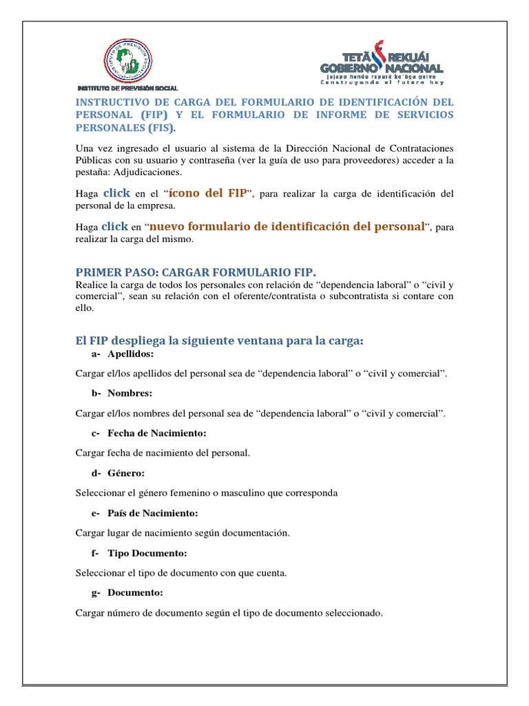 Instructivo para Completar El Fip y Fis | PDF