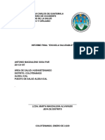 Informe Escuela Saludable