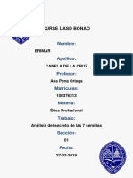 ANALISIS DEL SECRETO DE LAS 7 SEMILLAS.docx