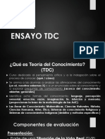 Estructura Del Ensayo TDC