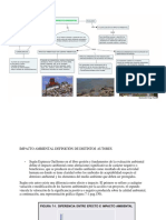 IMPACTO AMBIENTAL.docx