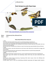 Metamorfosis Sempurna Pada Kupu-Kupu