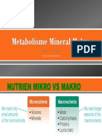 Mineral Makro I PDF