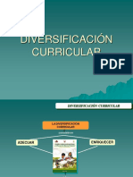 DIVERSIFICACIÓN CURRICULAR SECUNDARIA.pdf