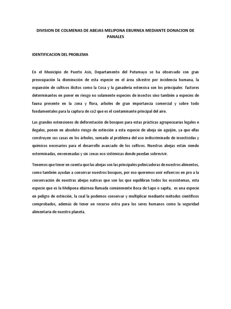 Division de Colmenas de Abejas Melipona Eburnea Mediante Donacion de ...