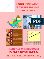 08_Lampung_2015.pdf