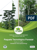 PTF Caoba de Peten