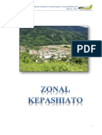 05 Reporte Zonal Kepashiato PDF