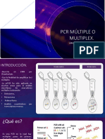 PCR Multiplex